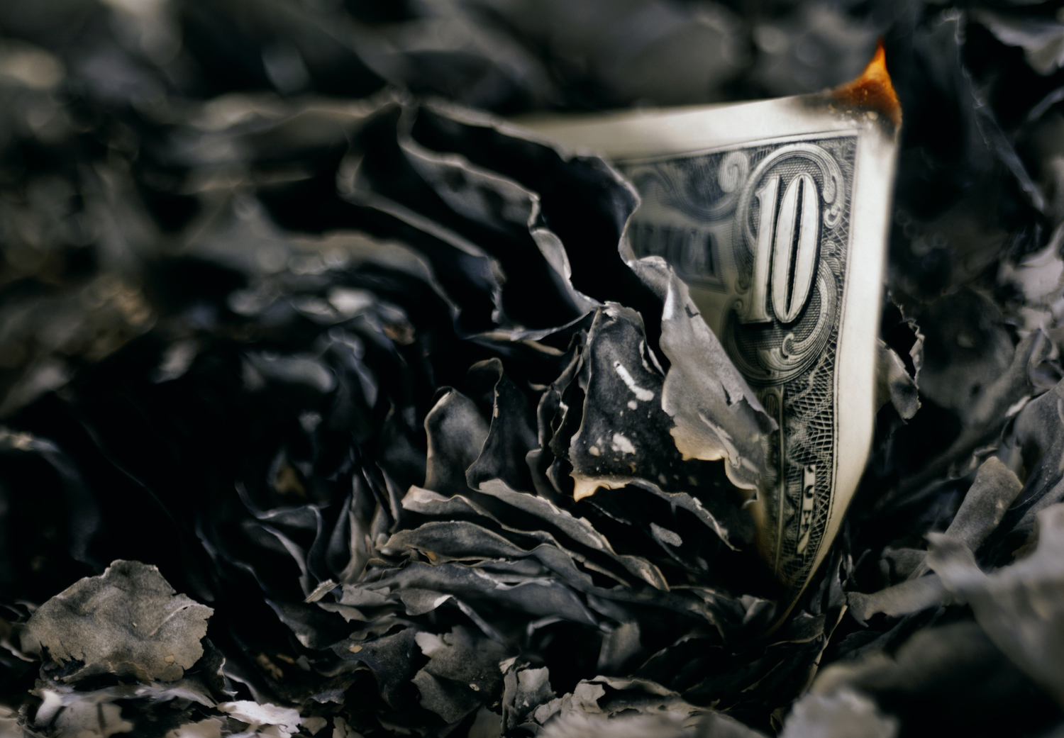 Burnt wad of US 10 dollar bills, close-up