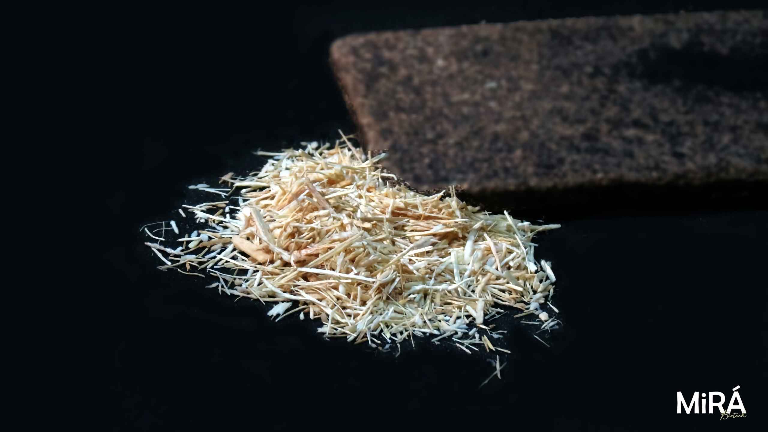 Mirá uses enzymes to bind wood fibers into MDF.