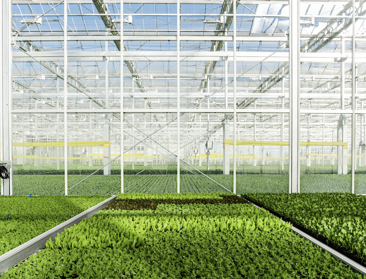 Gotham Greens just raised $310M to expand its greenhouses nationwide