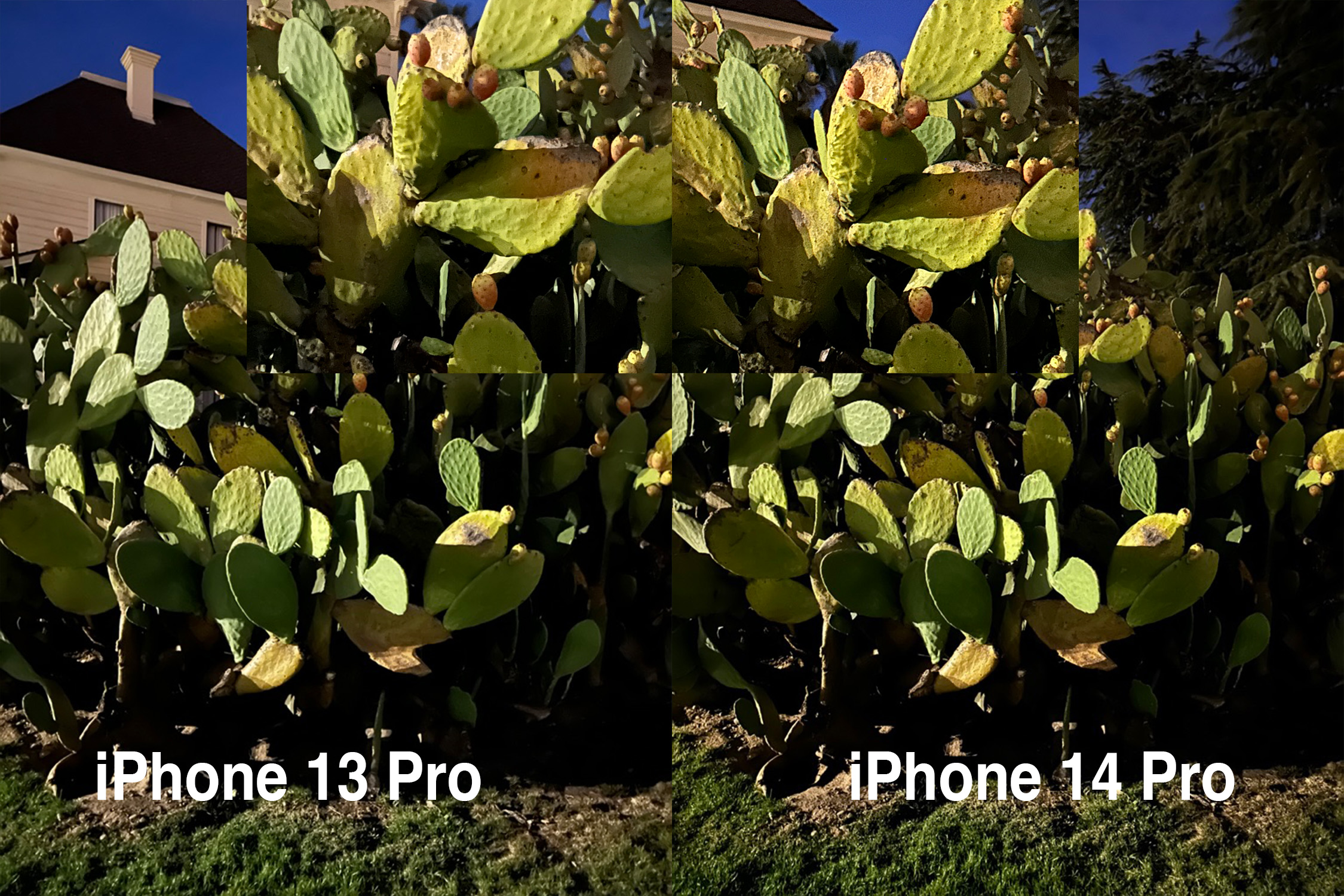 comparison photo of iPhone 13 pro and iPhone 14 pro night mode detail