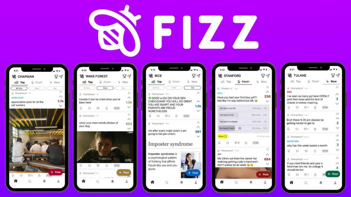 Meet Fizz, the social app downloaded by ‘95% of Stanford undergrads’ • TechCrunch