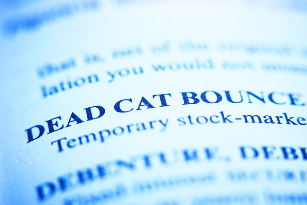 Close-up of the bold term DEAD CAT BOUNCE