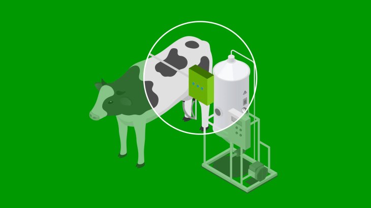 illustration of a cow and sensor