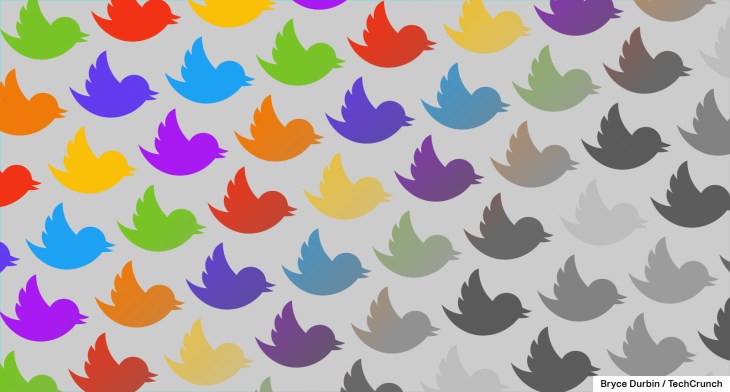rainbow twitter birds 1