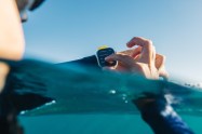 We went diving with the Apple Watch Ultra Image