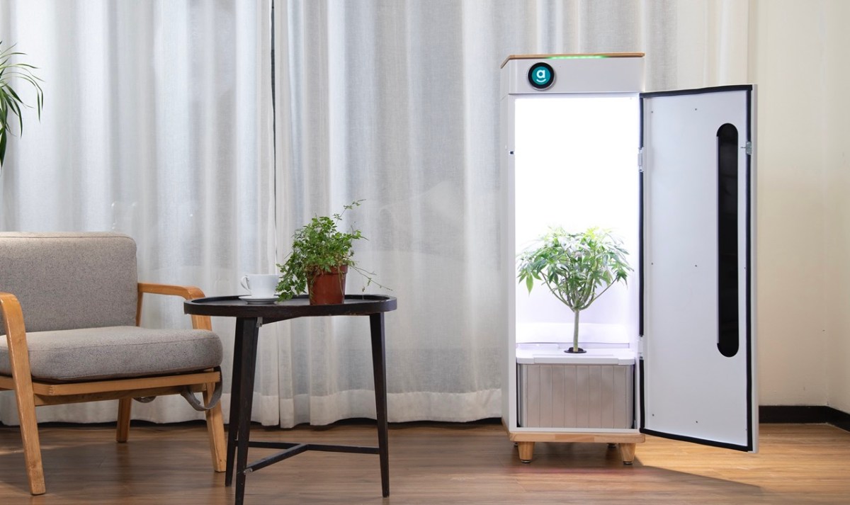 We review Abby, a sleek one-plant weed farm for your apartment