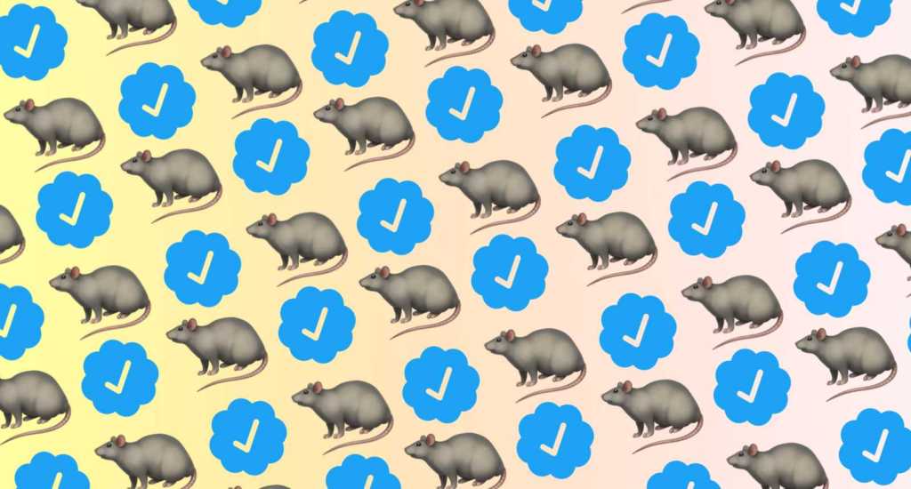 a gradient tiled background of rat emojis and twitter verification signs