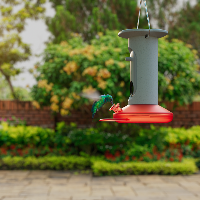 El nuevo comedero inteligente para colibríes de Bird Buddy puede fotografiar e identificar 350 especies de aves diferentes