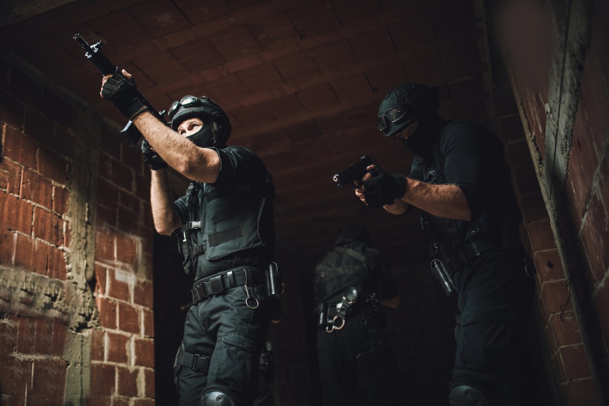 A hack on ODIN Intelligence reveals a large amount of police raid files