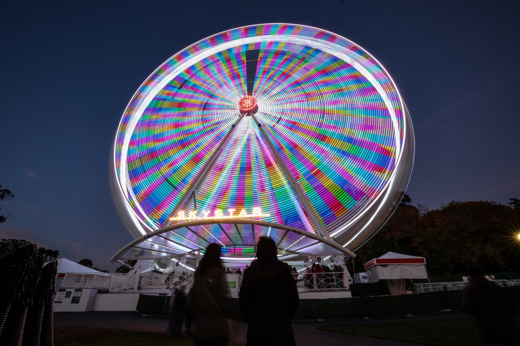 SAN FRANCISCO, CA - NOVEMBER 22: A view of Ferris wheel at the Golden Gate Park of San Francisco, California, United States on November 22, 2022. (Photo by Tayfun Coskun/Anadolu Agency via Getty Images)