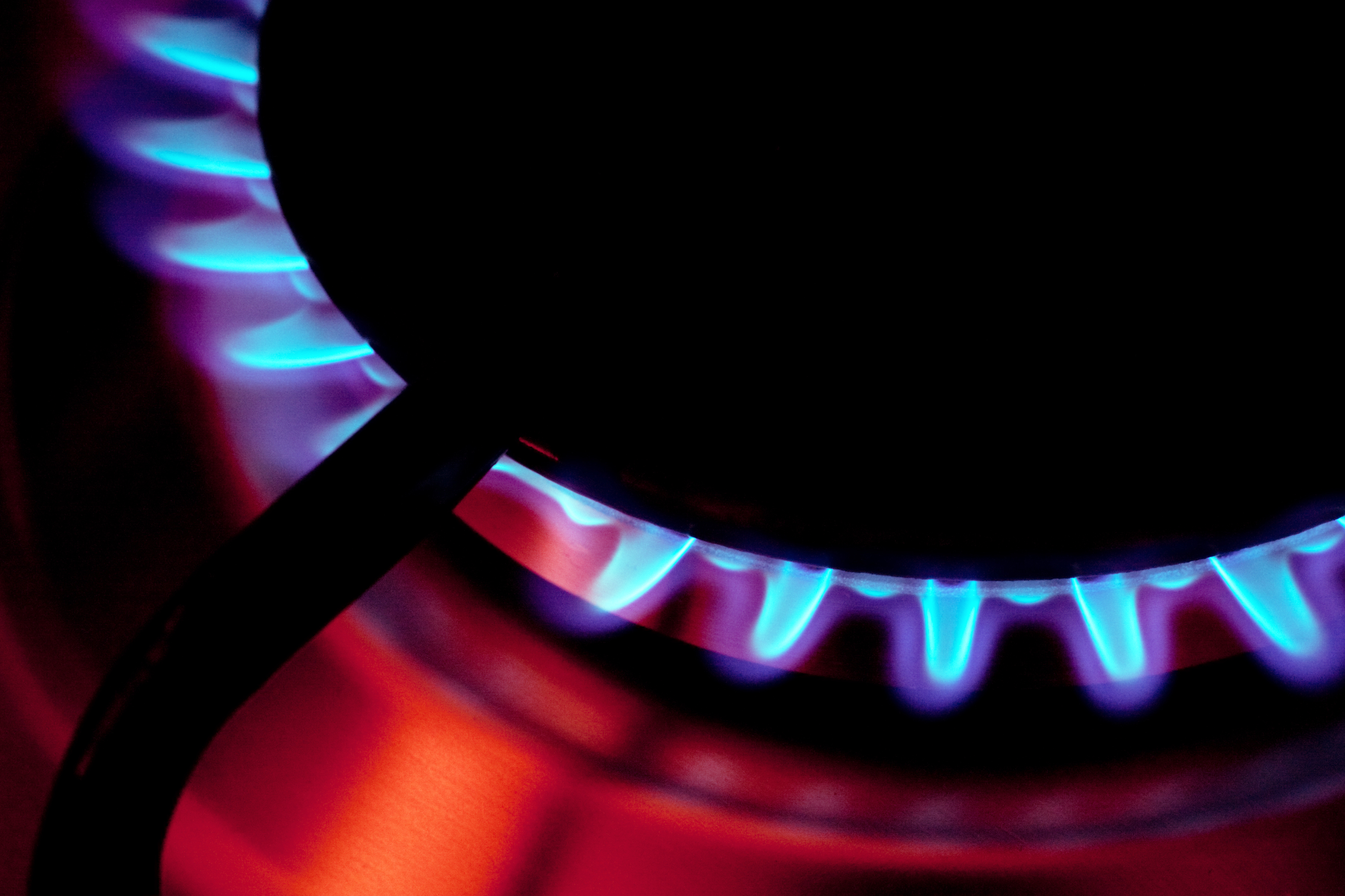Blue flames burn on a gas stove.