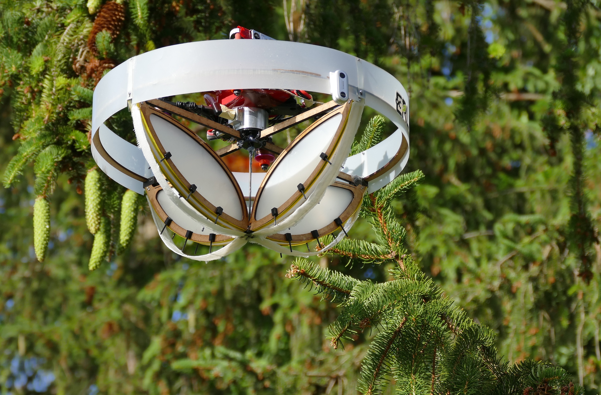 gentle drone collects loose DNA from swaying tree branches