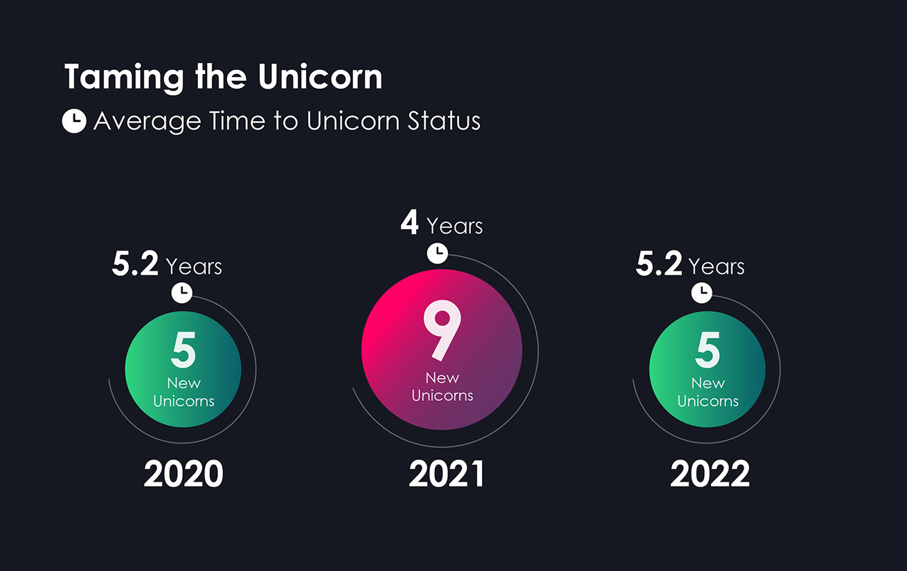 State of the Cybernation 2022: Taming the Unicorn