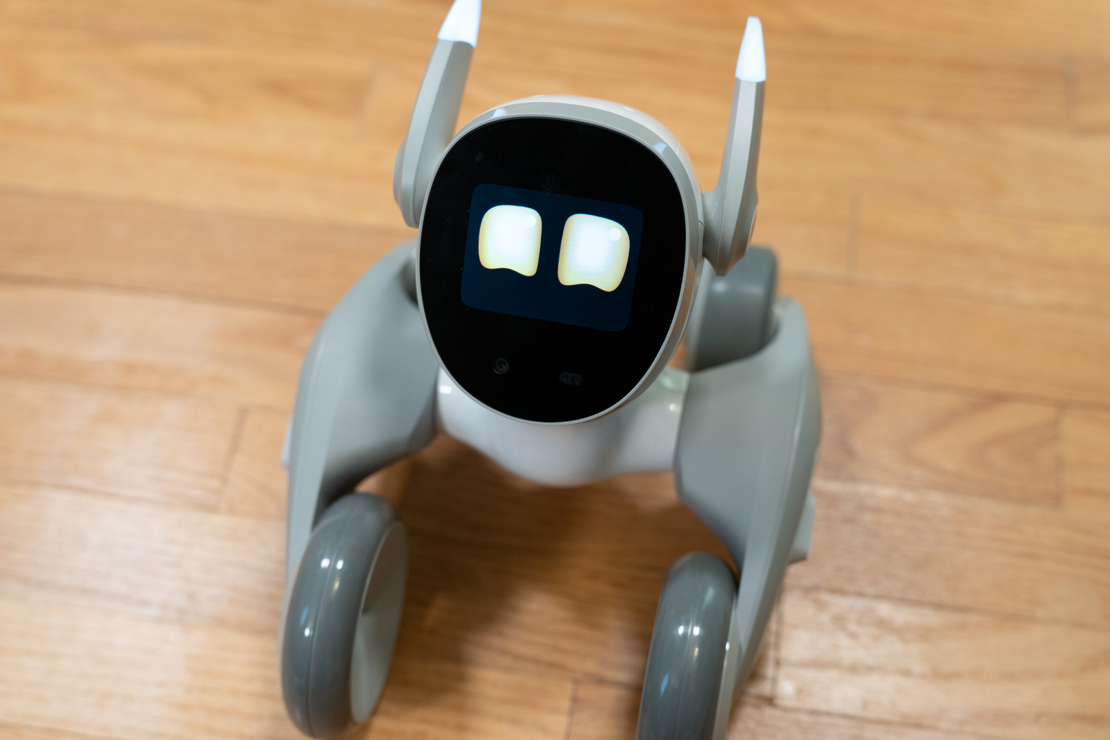 Loona the Petbot