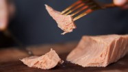 New School Foods’ filet looks and tastes like salmon, but it’s actually plants Image