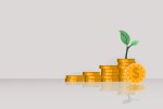Illustration of stacks of gold coins with a small plant growing out of the largest stack.