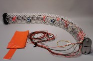 Modular eel robots combine soft and rigid components Image