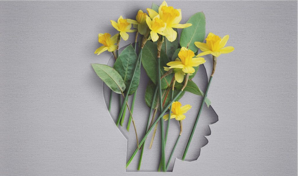 A cutout of a side profile of a face with yellow daffodils placed inside, set against a gray background. Illustration of growth mindset. How to spot investment-worthy founders: Look for mindset, competence, and confidence.