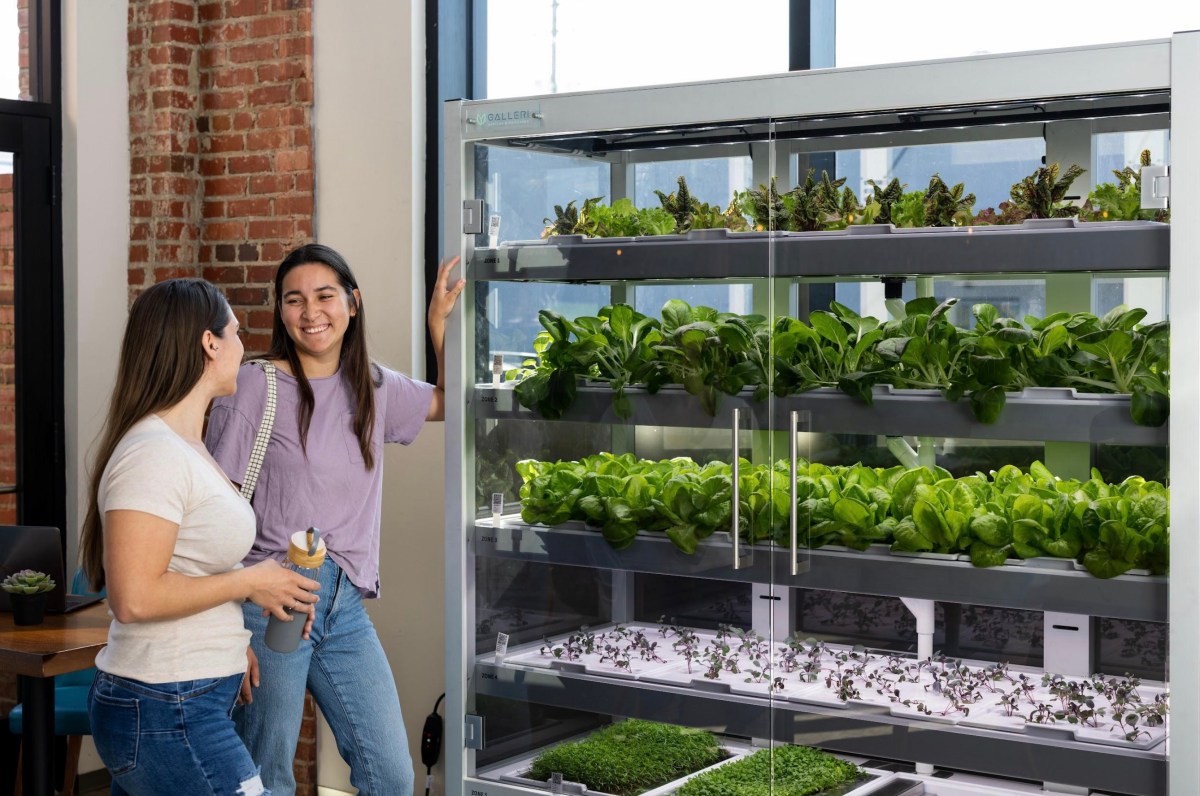 Babylon raises $8M for its self-contained vertical farming system