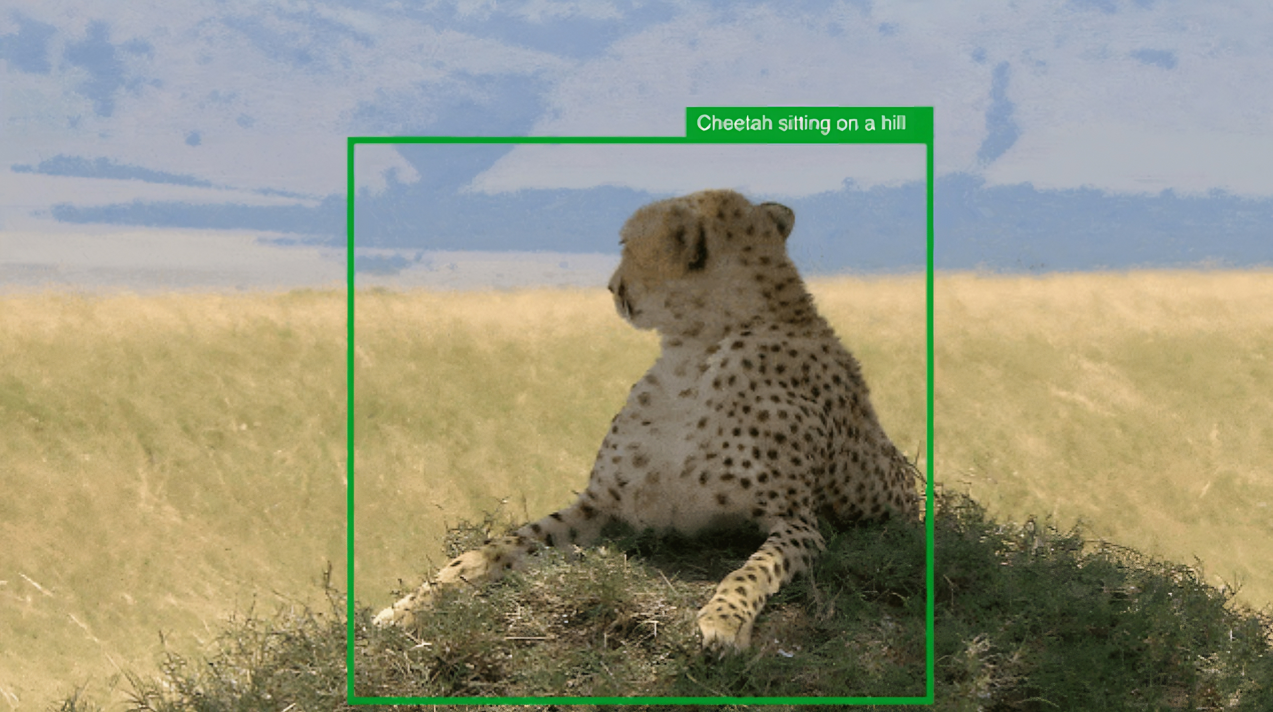 Microsoft’s computer vision model will generate alt text for Reddit images