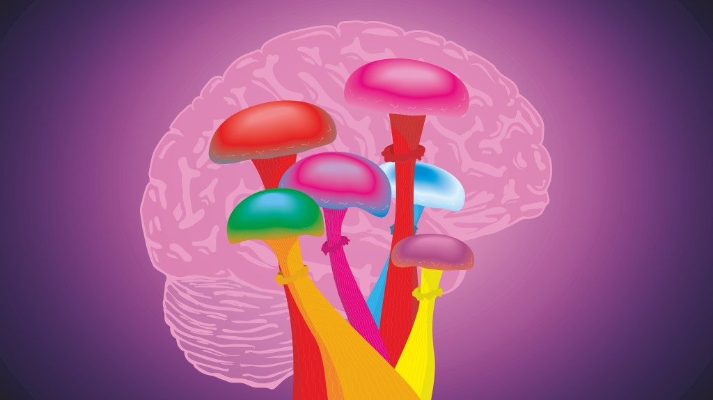 Colorful abstract illustration of colorful magic mushrooms and brain in profile. Vector illustration.