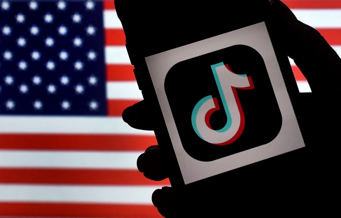 Why TikTok just rallied 170M users to call Congress — and what's next image