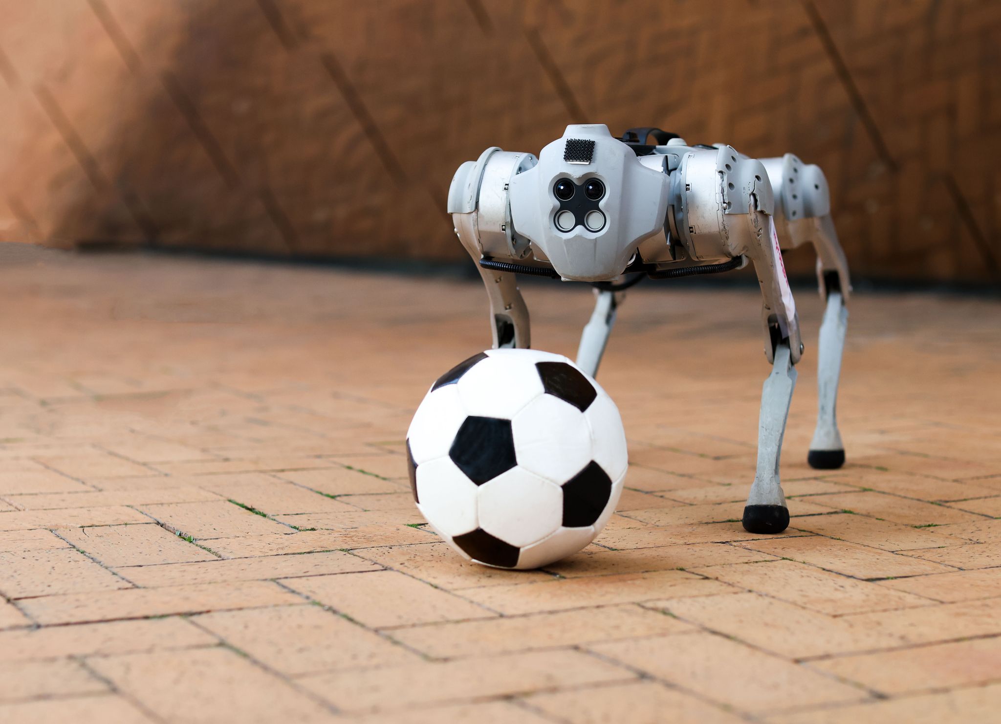 robot with a soccer ball