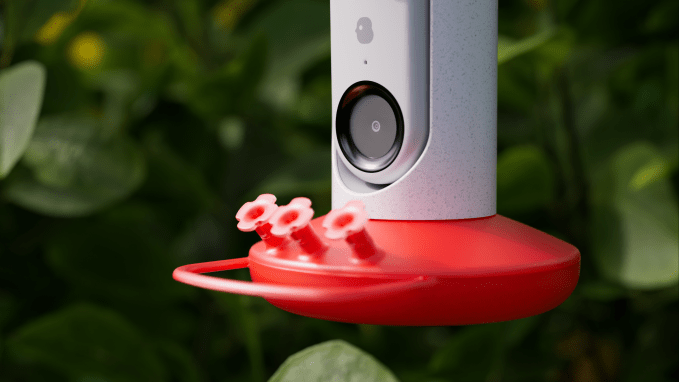 Bird Buddy introduces an AI-powered Smart Hummingbird Feeder and Bird Bath 2