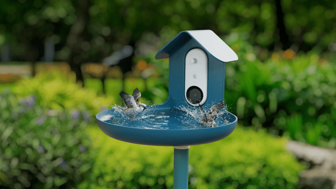 Bird Buddy introduces an AI-powered Smart Hummingbird Feeder and Bird Bath 4