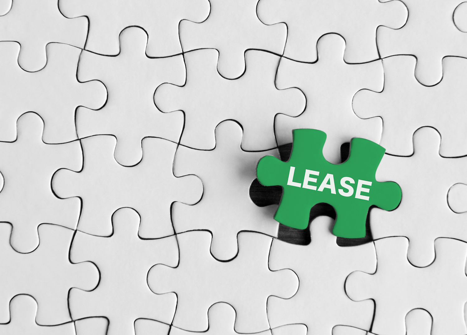Puzzle pieces with word 'Leaseâ.