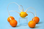 oranges connected by cables to lemon as main hub