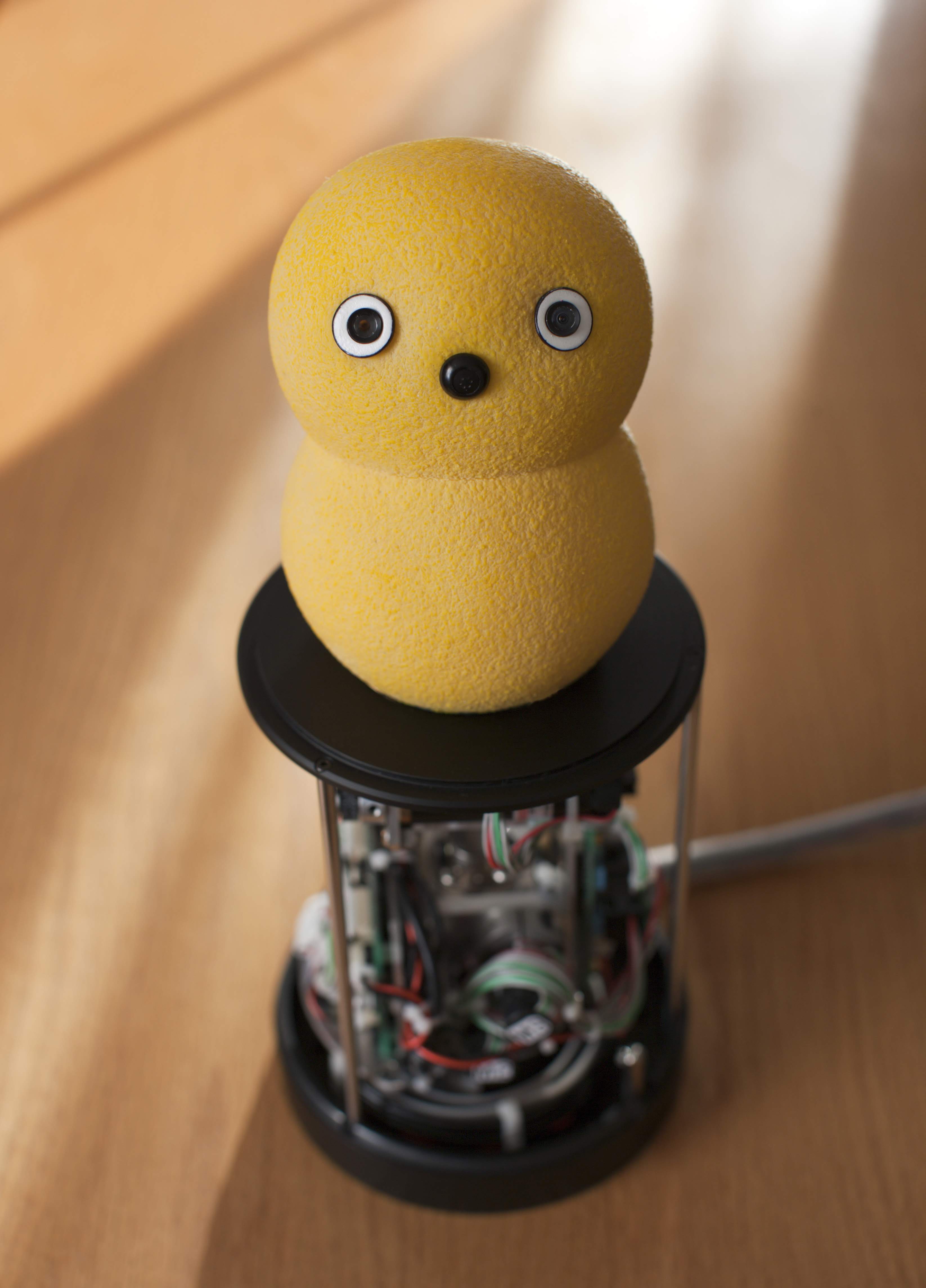 Keepon, carry on | ProWellTech 4