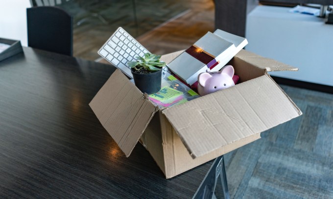 lauren cardboard cutting kit｜TikTok Search