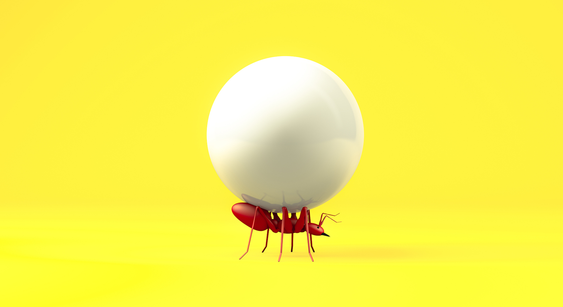Representación 3d, Cierre la hormiga roja realista levantando la bola blanca de caramelo con un espacio vacío en blanco para su copia, fondo amarillo aislado.