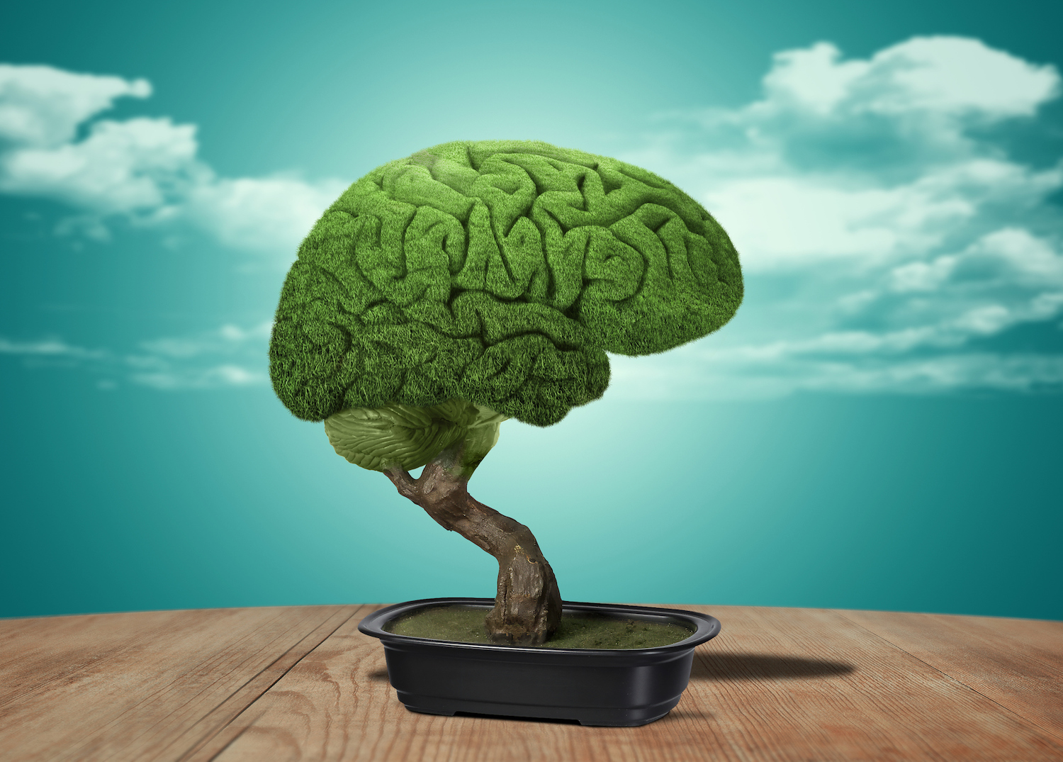 Brain covered with grass in the shape of a bonsai on a wooden table.Digital composite
