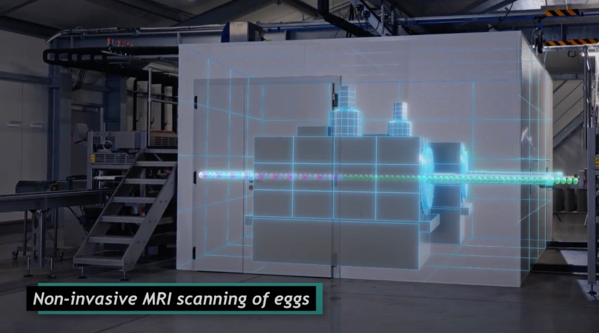 AI revolutionizing MRI scans — A Munich startup banked $32M to scan eggs, and says humans are next TechCrunch