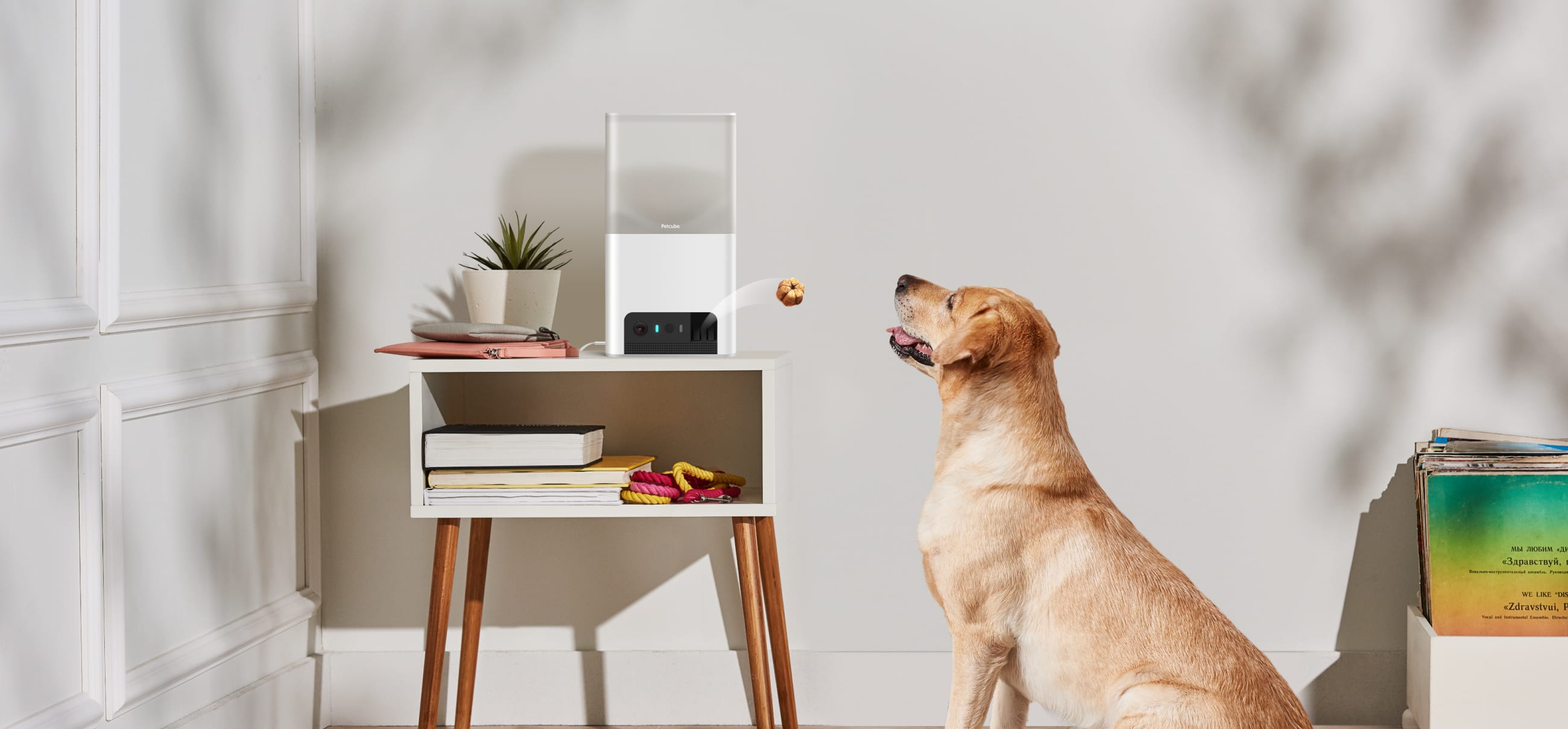 5 pet tech gifts for your fur babies in 2023