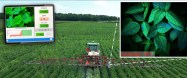 AgZen’s RealCoverage wants to keep pesticides only where they are needed Image
