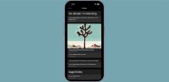 Palmsy is a device-only ‘social network’ to satisfy your posting itch Image