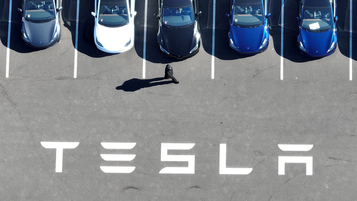 Tesla profits drop 55%, company says EV sales 'under pressure' from hybrids