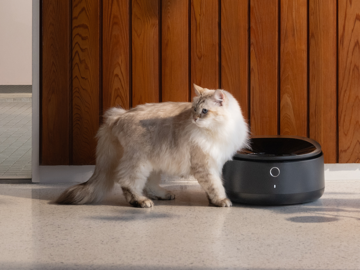 photo of Petlibro’s new smart refrigerated wet food feeder is what your cat deserves image