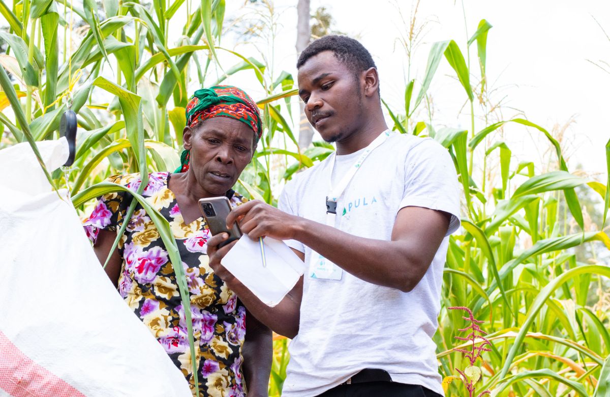 Pula raises M Collection B to supply agricultural protection to farmers in Africa, Asia and LatAm